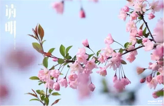 關于2019年清明節(jié)的放假通知