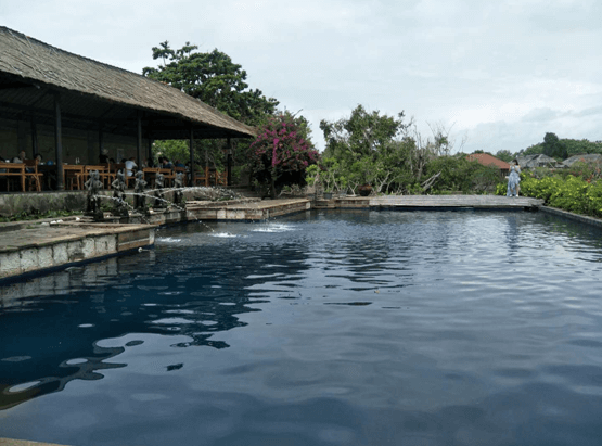 金博總部2017年度優(yōu)秀員工巴厘島之旅