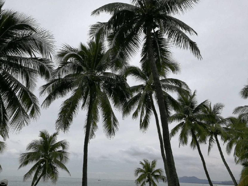 金博總部2017年度優(yōu)秀員工三亞游